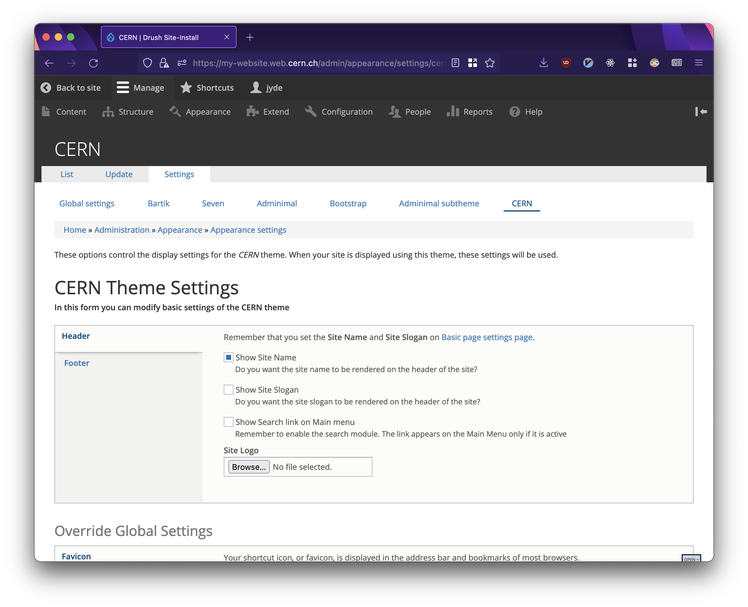 The CERN Theme settings page.